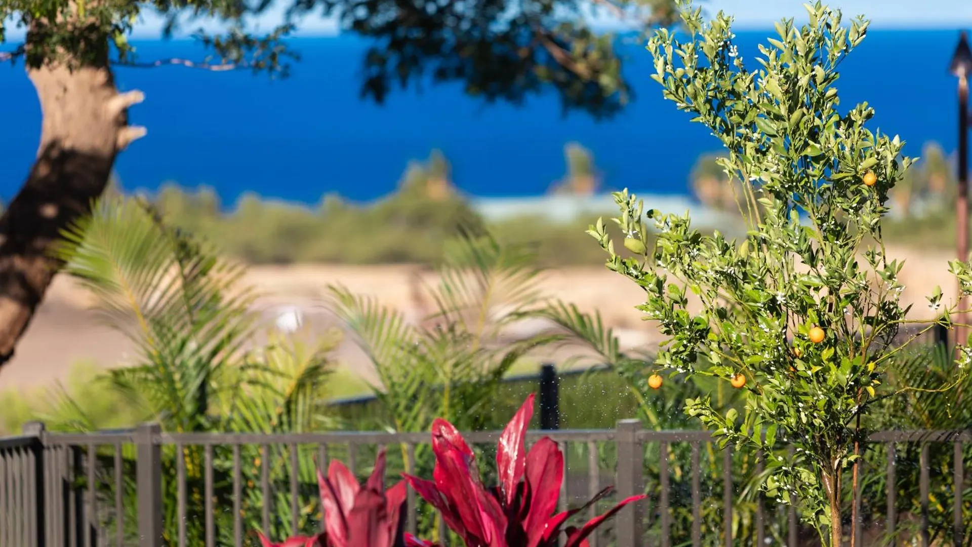 Blue Serenity Luxurious Home In Private Community With Heated Private Pool Spa Detached Ohana Suite Waimea  Holiday home Waimea (Hawaii)